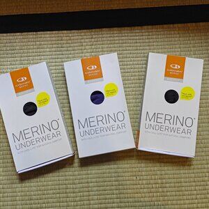 3 NWT pairs of Icebreaker Merino Underwear